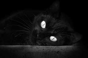 爱游戏官方-德甲多特蒙德新援表现令人期待，多特蒙德拿过几年德甲冠军