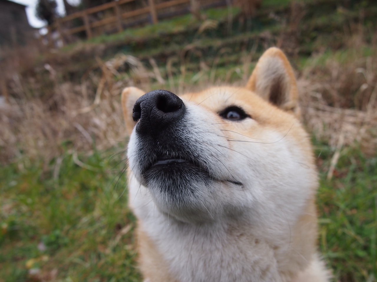 【比赛时间限制】快速节奏赛制如何改变传统棒球？，棒球的最快速度