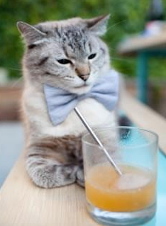 【比赛时间限制】快速节奏赛制如何改变传统棒球？，棒球的最快速度